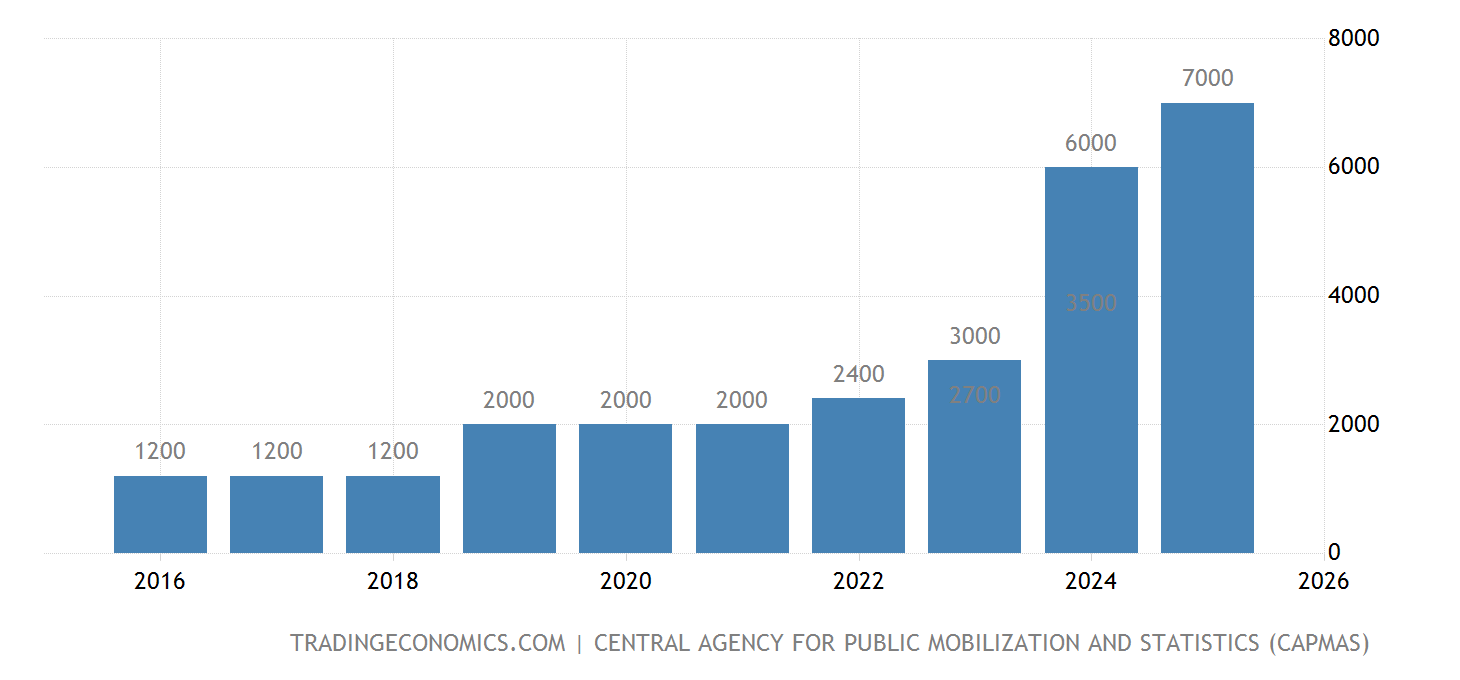 埃及 最低工资 20092023 数据 20242025 预测